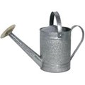 Perfectpatio 1 gal James Galvanized Watering Can PE580231